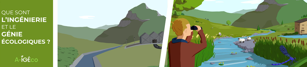 Milieu avant et après l’ingénierie écologique – visuel A-IGEco