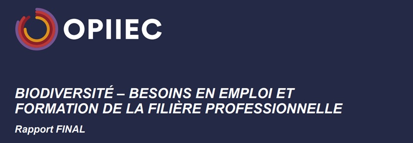 5-Diagnostic emplois - compétences OPIIEC